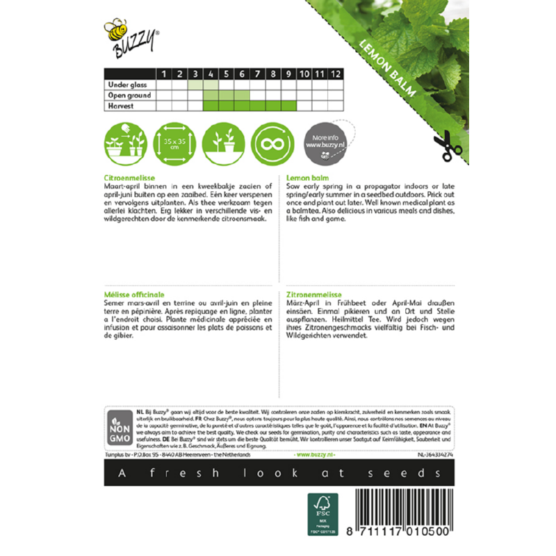 Buzzy Lemon Balm 001050