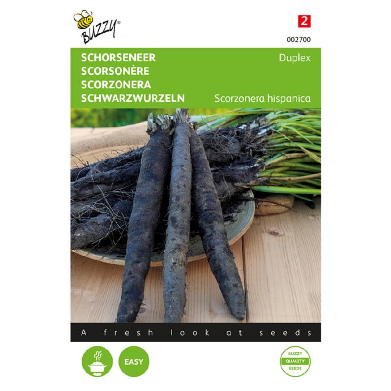 Buzzy Salsify Duplex 002700