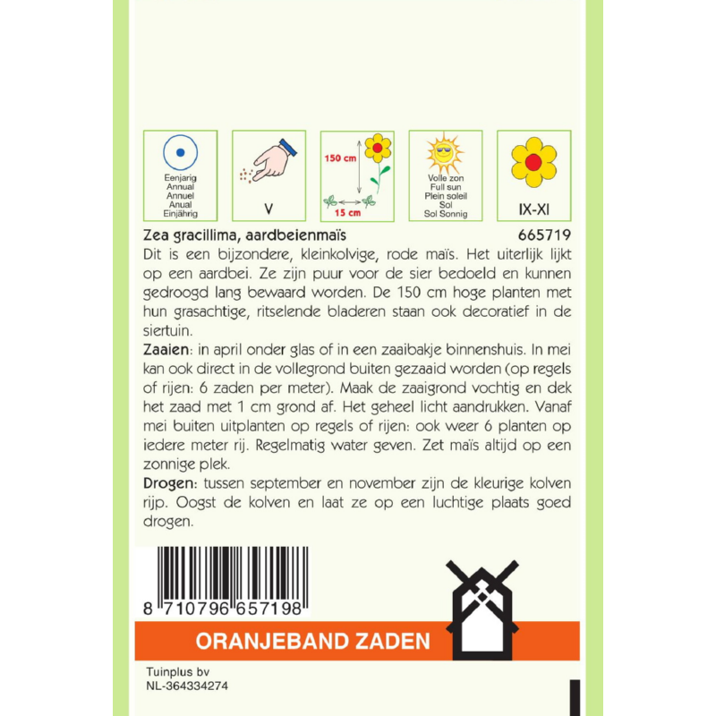 OBZ Zea, Strawberry Corn 665719