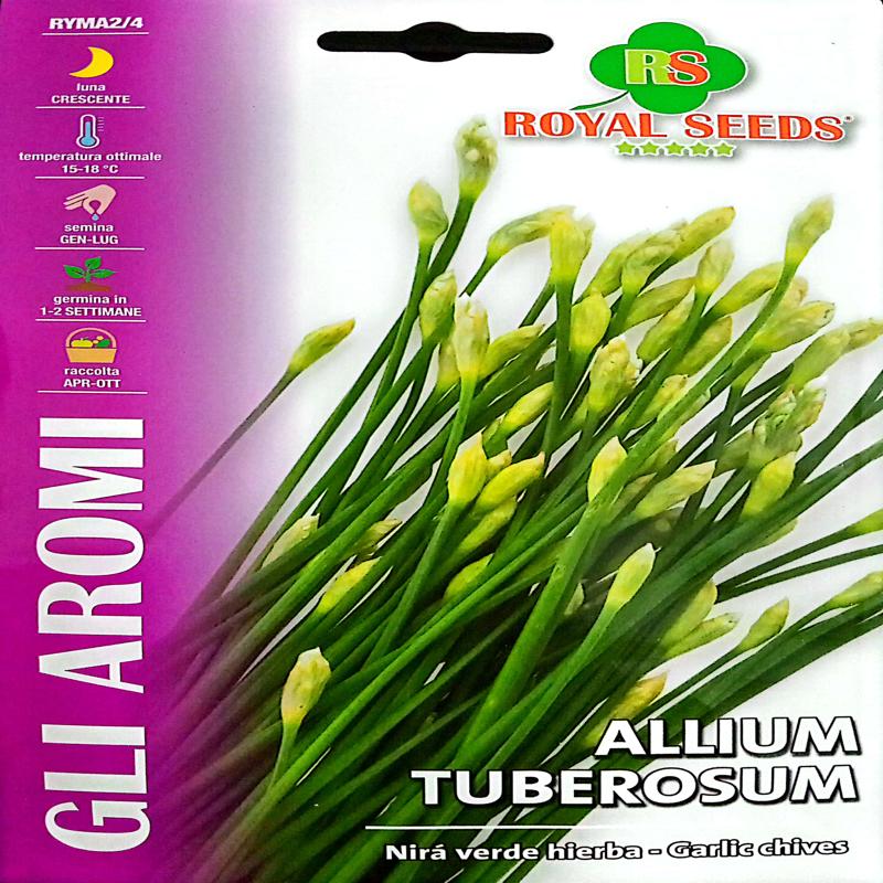 Royal Allium Tuberosum (Garlic Chives) 300 Approx. Seeds