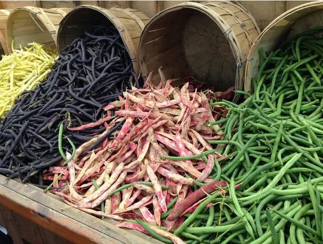 4-Colour Mixed Bean Seeds (60 Seeds) – Buy Vegetable Seeds Online in Pakistan