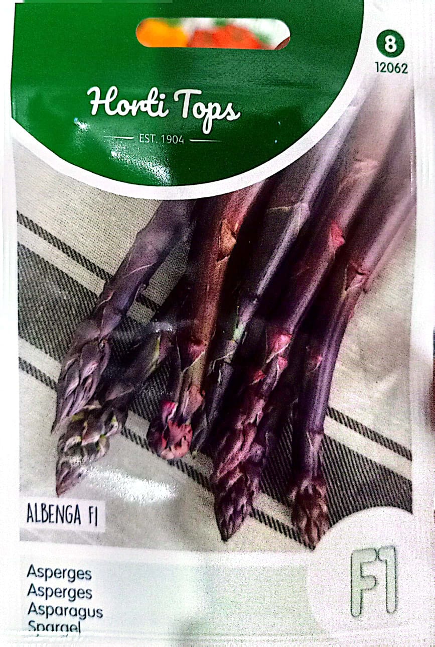 HT Purple Asparagus Albenga F1 6SEEDS