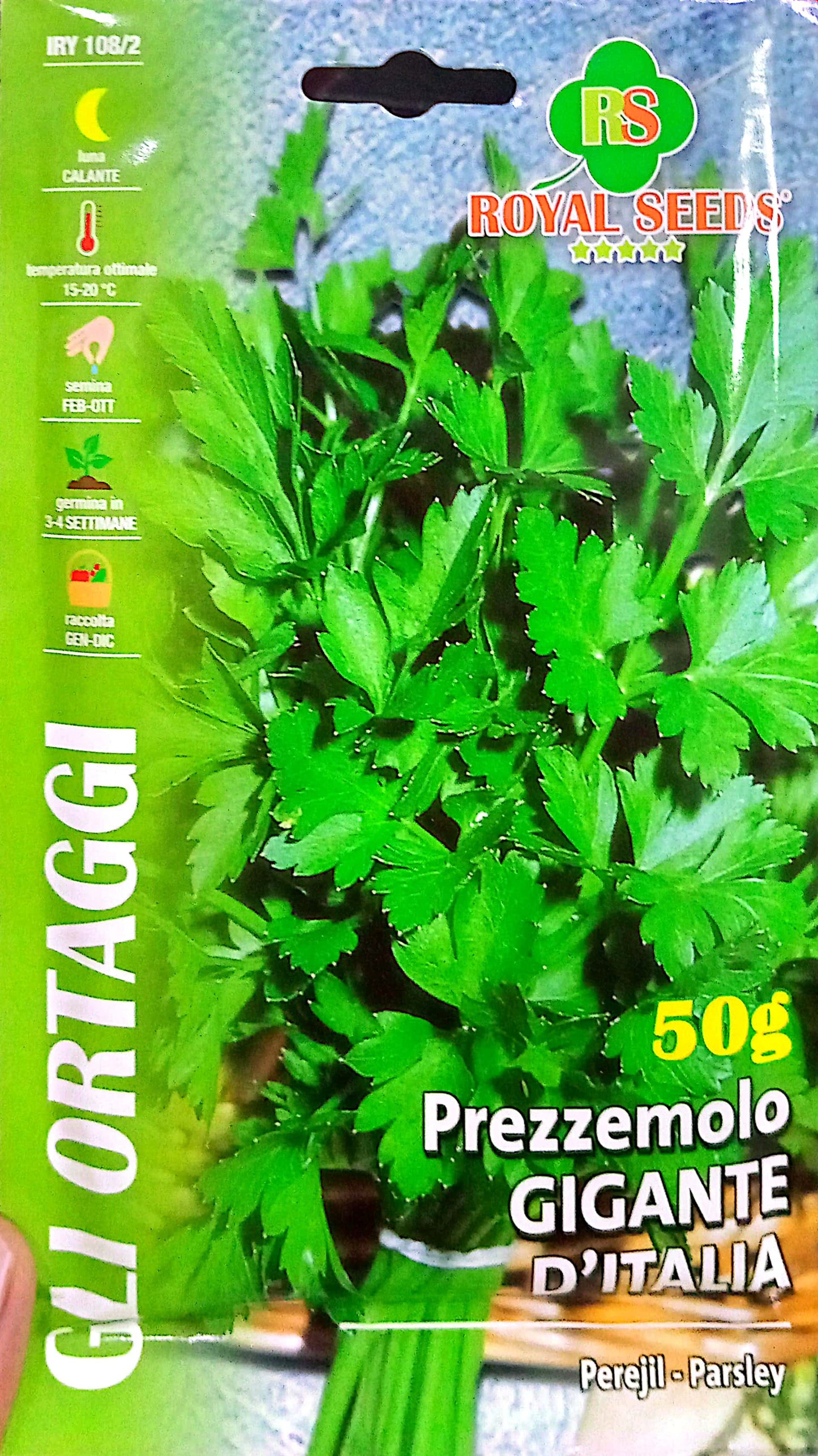 ITALIAN GIANT PARSLEY SEEDS large leaves 50-Gram Approx. Seeds