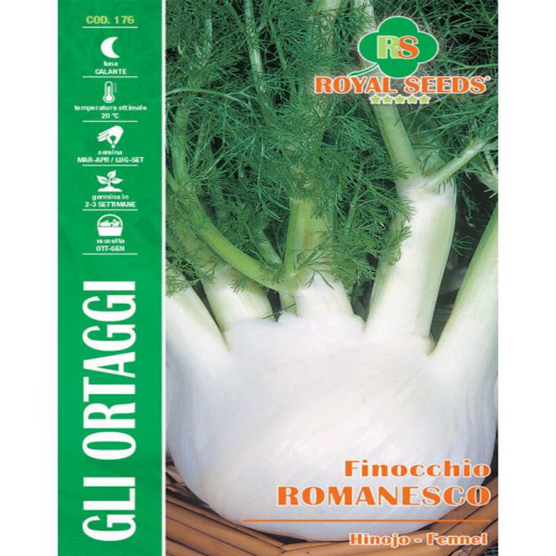 Roman Fennel Seeds (Saunf) 6g – Buy Herb Seeds Online in Pakistan