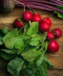 Radish Red Gram-4