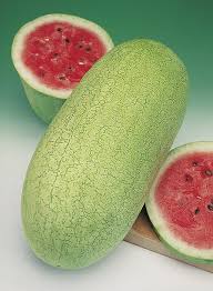 Watermelon