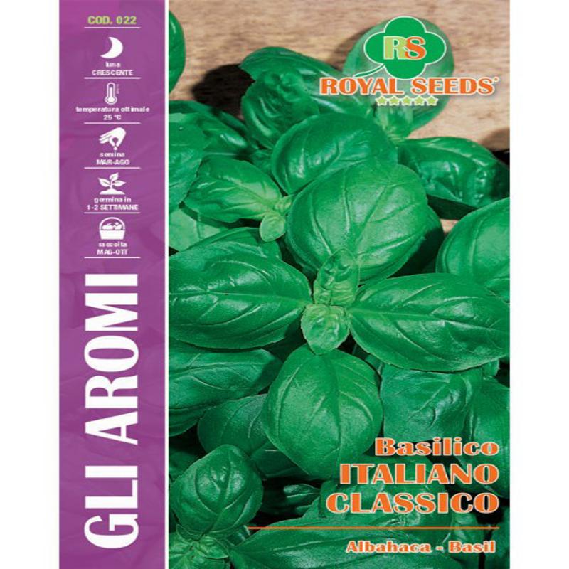 CLASSIC ITALIAN BASIL SEEDS Perfect for pesto Approx. Seeds GRAM-8