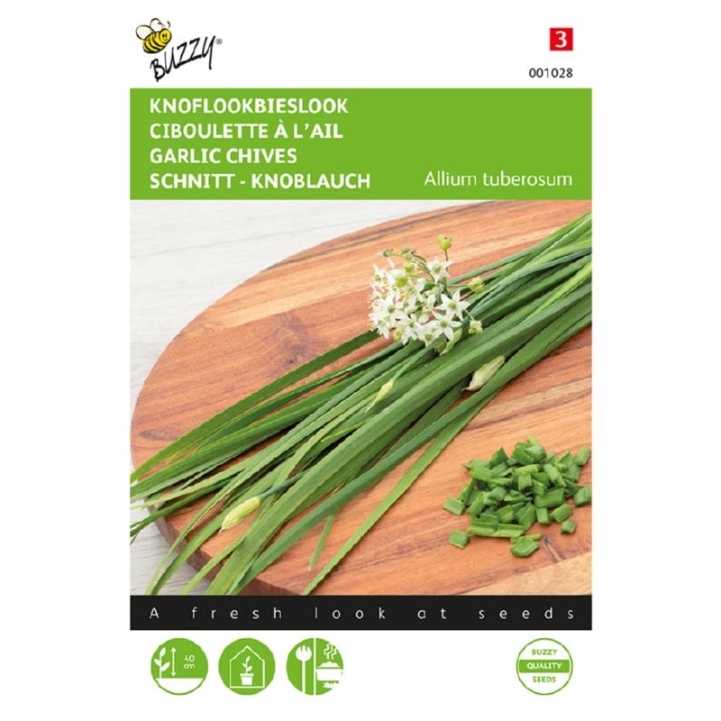 Chinese Garlic Chives Seeds (Pyazi Herb) – Buy Herb Seeds Online in Pakistan