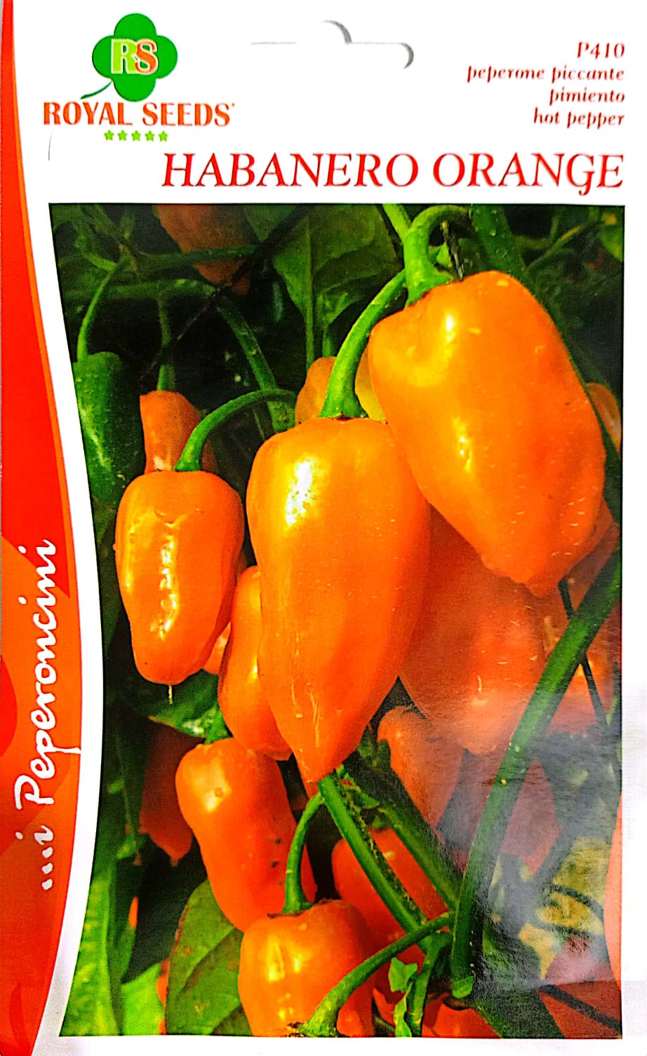 Royal Hot Pepper Habanero Orange 410 KBSeeds Store