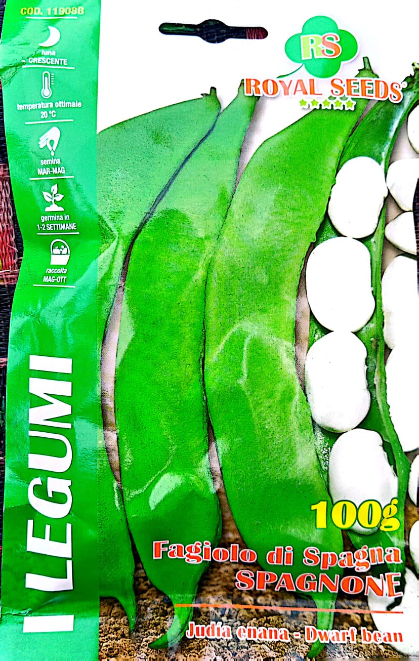 Royal Runner Beans KBSeeds Store