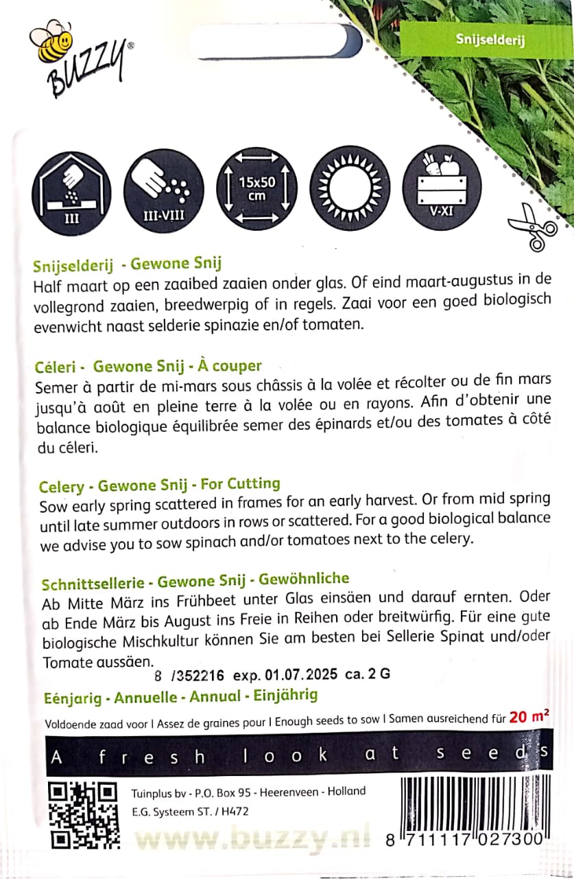 Buzzy Celery Regular Cut 002730