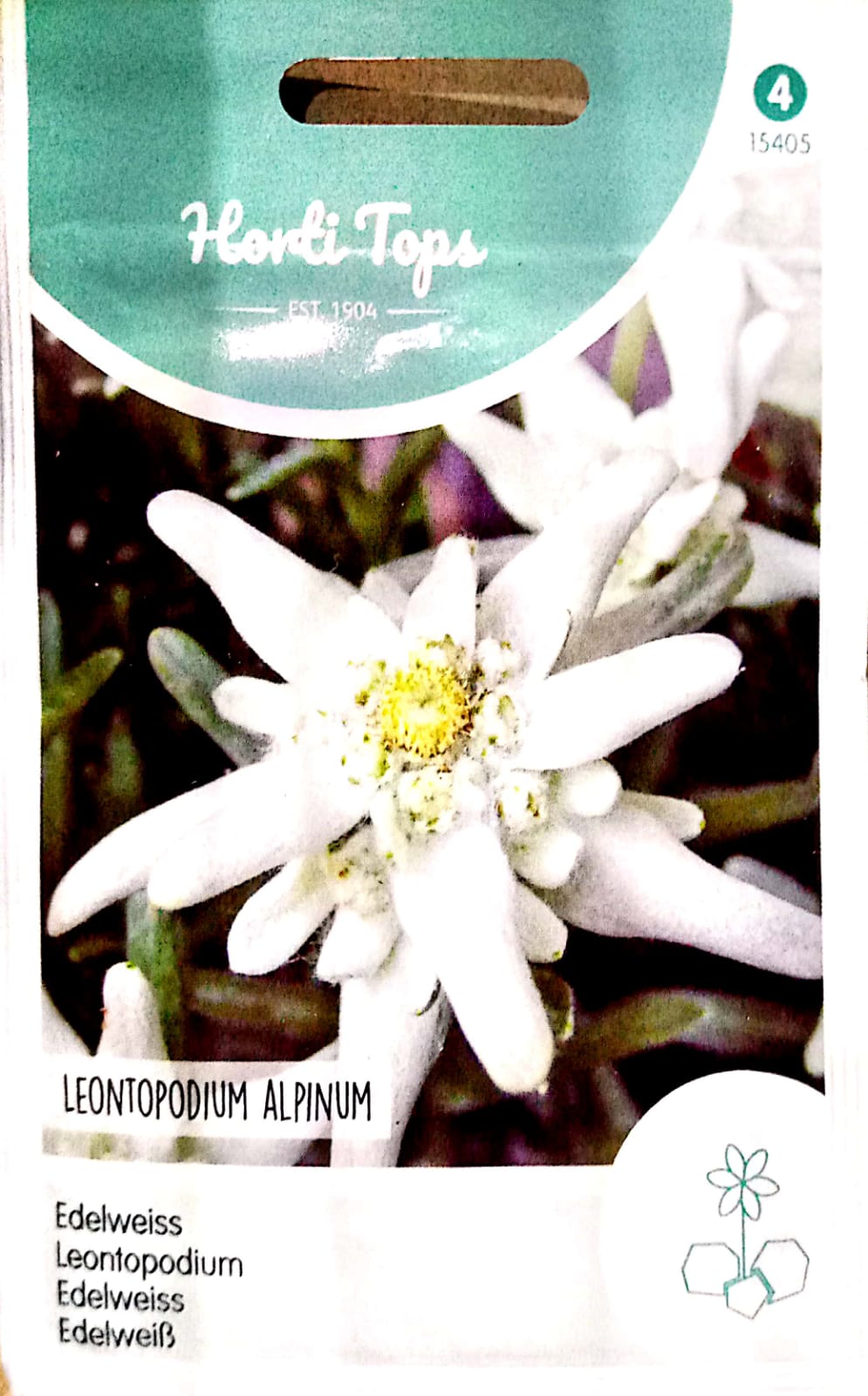 EDELWEISS FLOWER 15405 KBSeeds Store