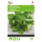Buzzy Lemon Balm 001050