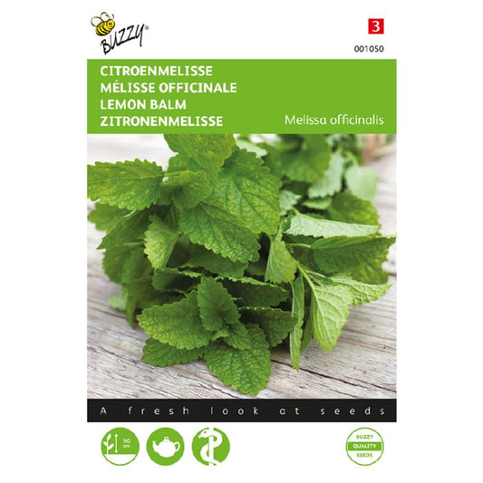 Buzzy Lemon Balm 001050