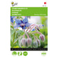 Buzzy Cucumber Herb (Borage) approx. 2 grams