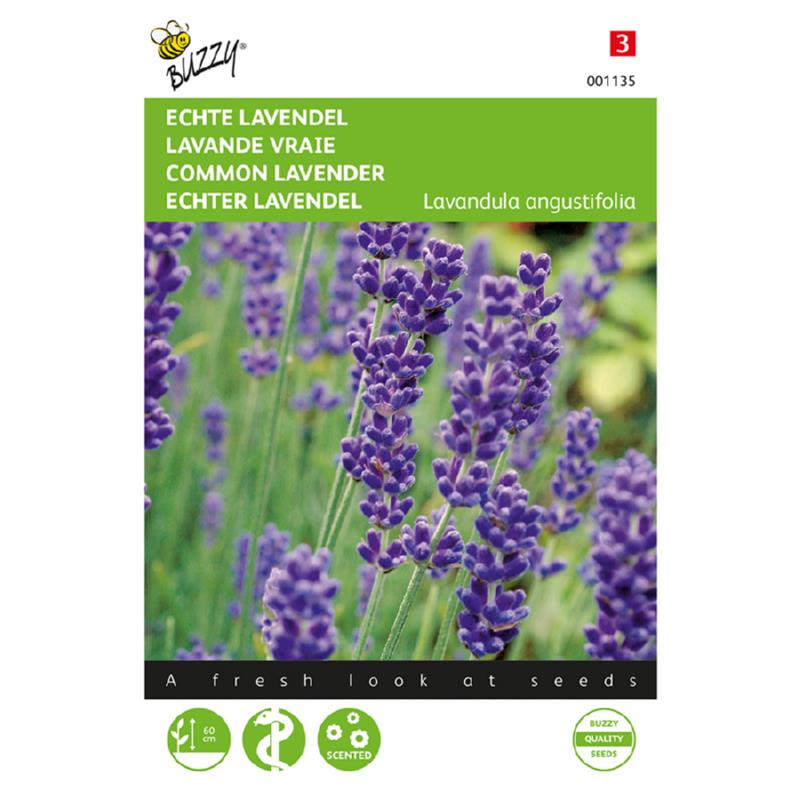 Buzzy True Lavender 001135 approx. 0.75 grams
