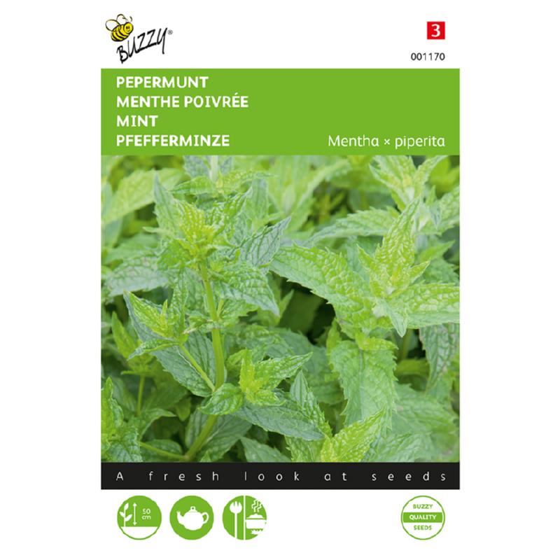 Buzzy Mint 001170 0.08G