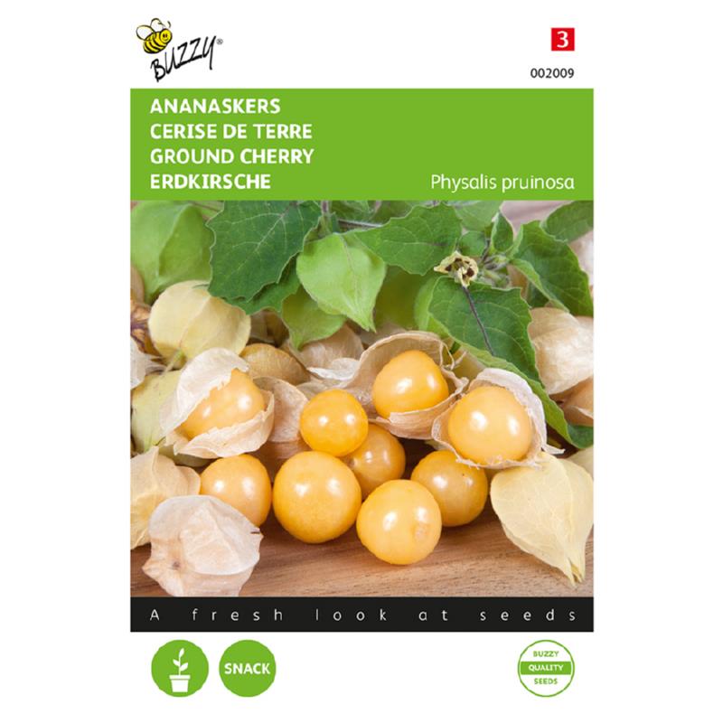 Pineapple Cherry Physalis Seeds (Cape Gooseberry) – Buy Fruit Seeds Online in Pakistan