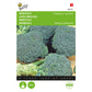 Buzzy Broccoli Calabrese natalino, green 002237 approx. 1 gram