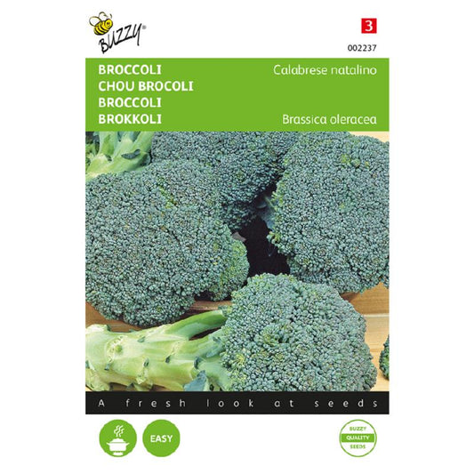 Buzzy Broccoli Calabrese natalino, green 002237 approx. 1 gram