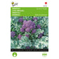 Broccoli Summer Purple 002238 0.25G