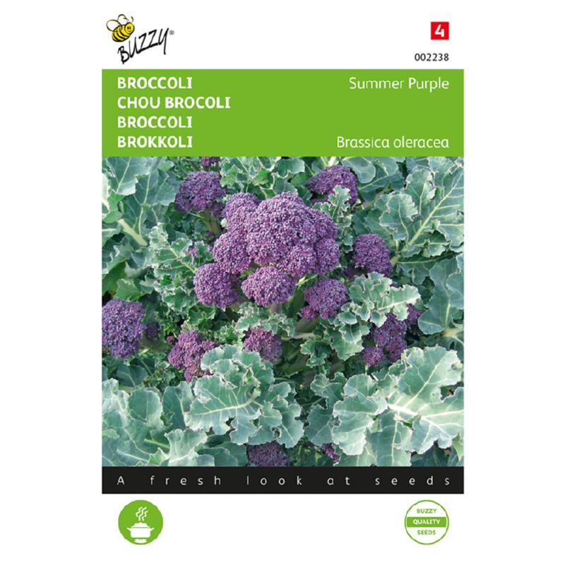Broccoli Summer Purple 002238 0.25G