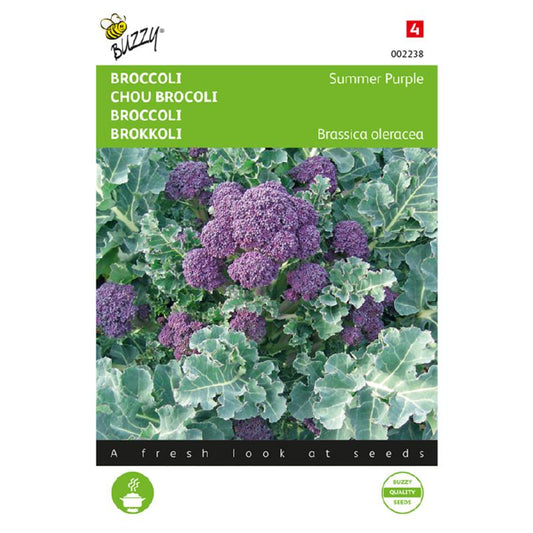 Broccoli Summer Purple 002238 0.25G