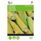 Buzzy Golden Bantam Sweet Corn 002420 approx. 8 grams