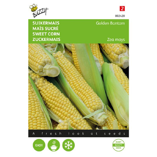 Buzzy Golden Bantam Sweet Corn 002420 approx. 8 grams