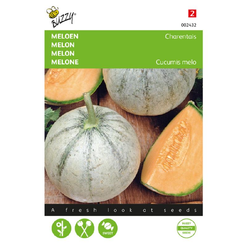 Buzzy Charentais Melons 002432