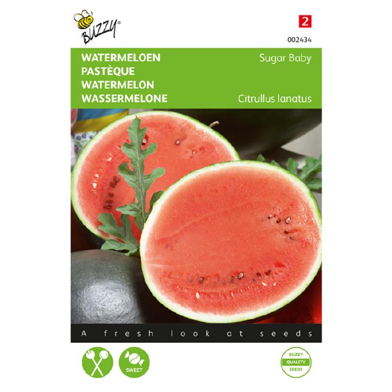 Buzzy Watermelon Sugar Baby 002434 approx. 2 grams