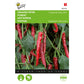 panish Pepper Cayenne long slim