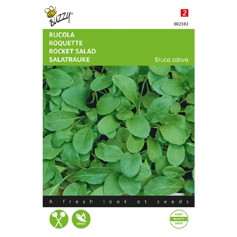 Buzzy® Rocket cultivated (Eruca sativa)