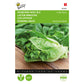 Buzzy Romaine Mini Lettuce 002604 approx. 1 gram
