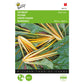Buzzy Yellow Yellow Swiss Chard 002752 approx. 4 grams