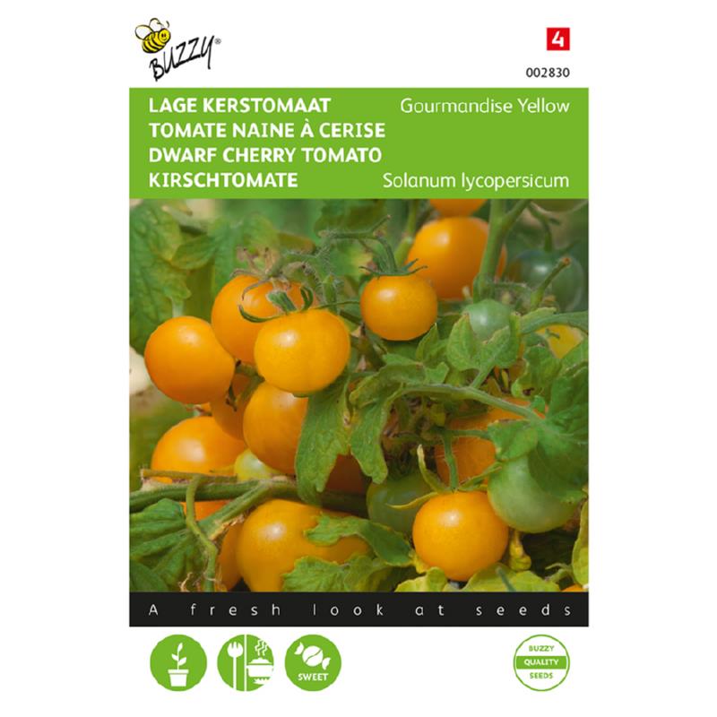 Gourmandise Cherry Tomato Seeds – Buy Tomato Seeds Online in Pakistan
