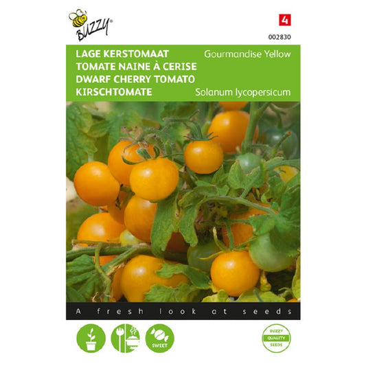 Gourmandise Cherry Tomato Seeds – Buy Tomato Seeds Online in Pakistan