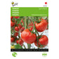 Buzzy® Tomato Saint Pierre, Large Open Ground  Approx. Seeds 1.5gm