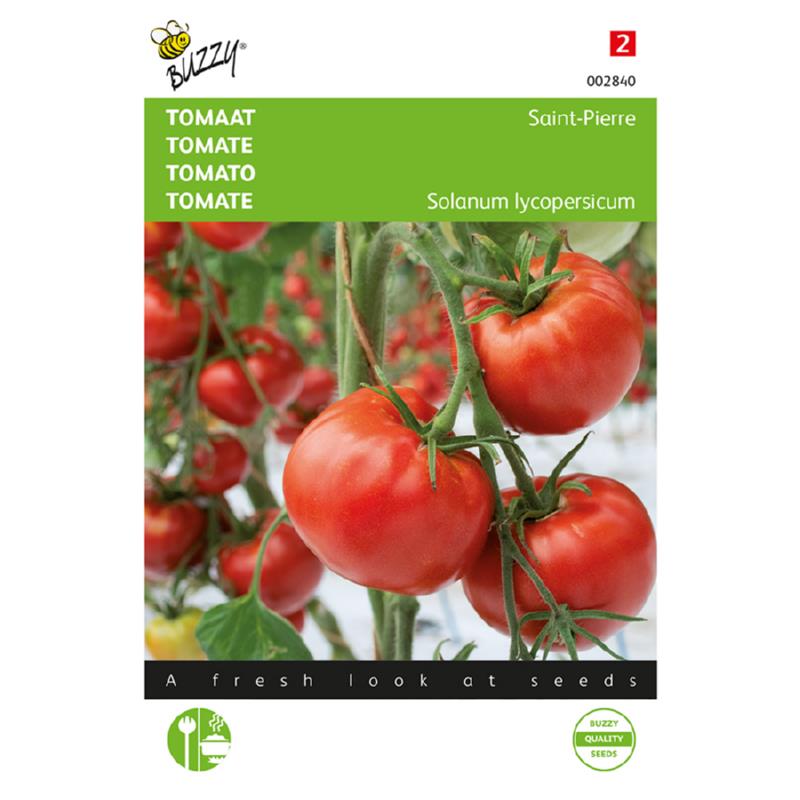 Buzzy® Tomato Saint Pierre, Large Open Ground  Approx. Seeds 1.5gm