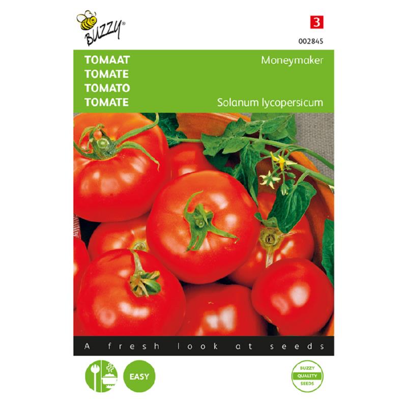 Buzzy Tomato Moneymaker 002845 approx. 2 grams