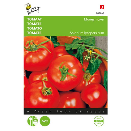 Buzzy Tomato Moneymaker 002845 approx. 2 grams