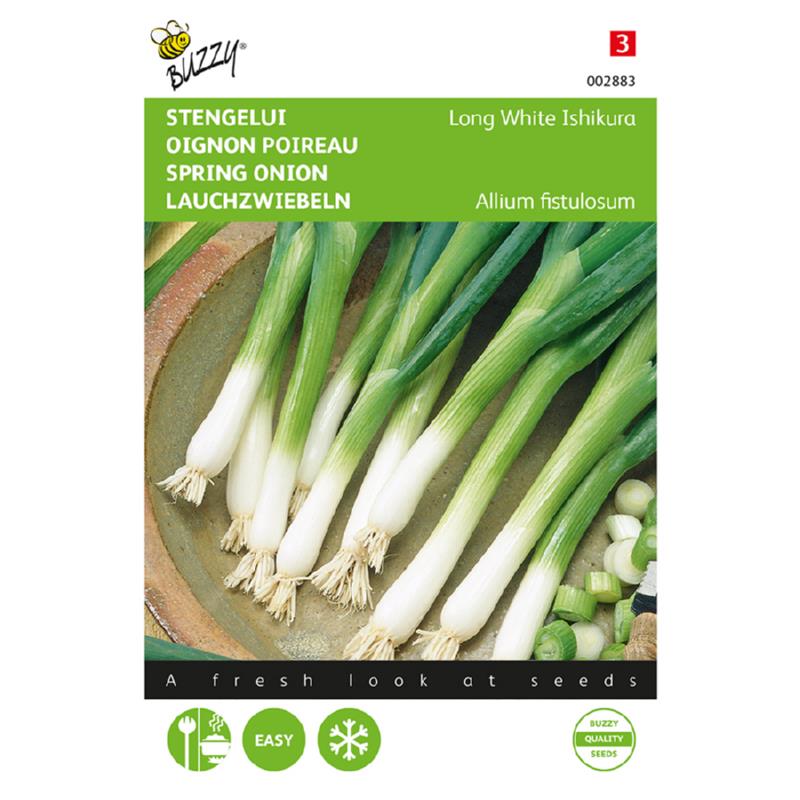 Buzzy Spring Onion 002883 approx. 2 grams