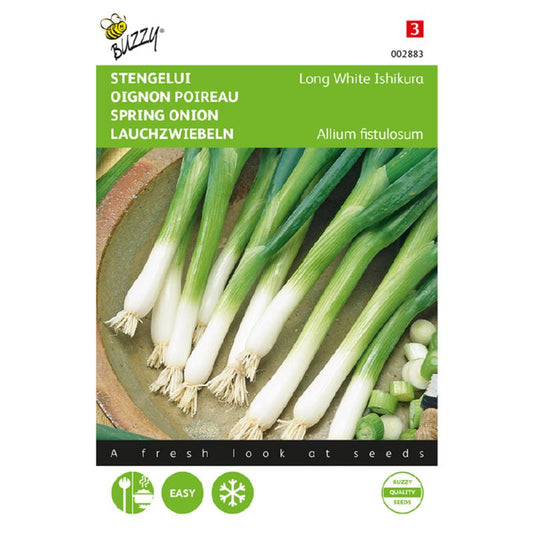 Buzzy Spring Onion Ishikura 002883 approx. 2 grams