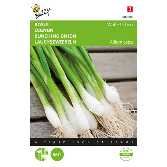 Buzzy Spring Onion White Lisbon approx. 4 grams 002885