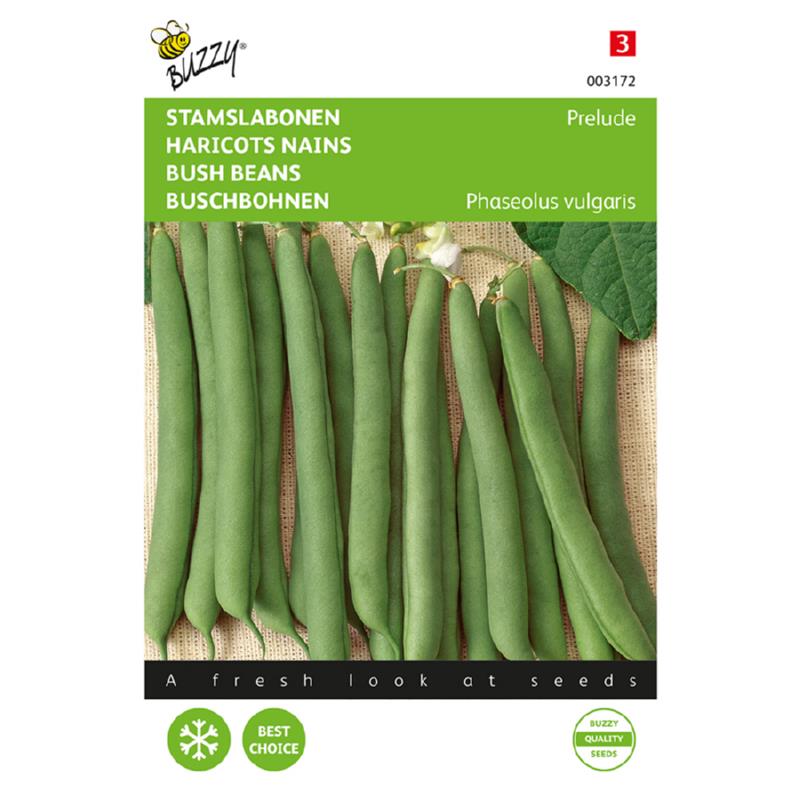Buzzy® Bush Beans Prelude