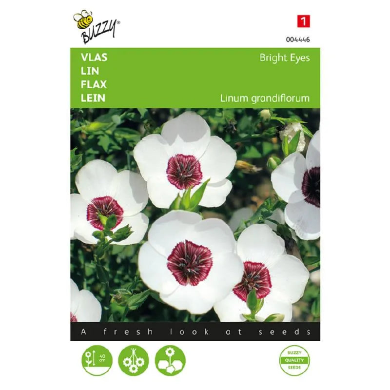 Buzzy® Linum Flax Bright Eyes