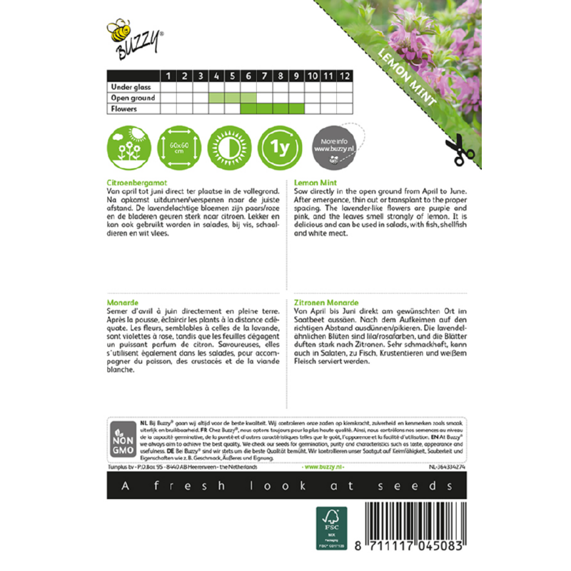 Buzzy® Monarda, Lemon Mint Bergamot 004508