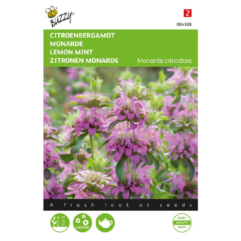 Buzzy® Monarda, Lemon Mint Bergamot 004508