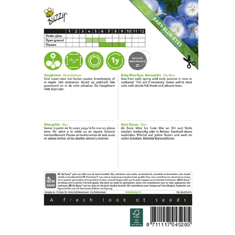 Buzzy® Baby Blue Eyes, Nemophila Sky-Blue