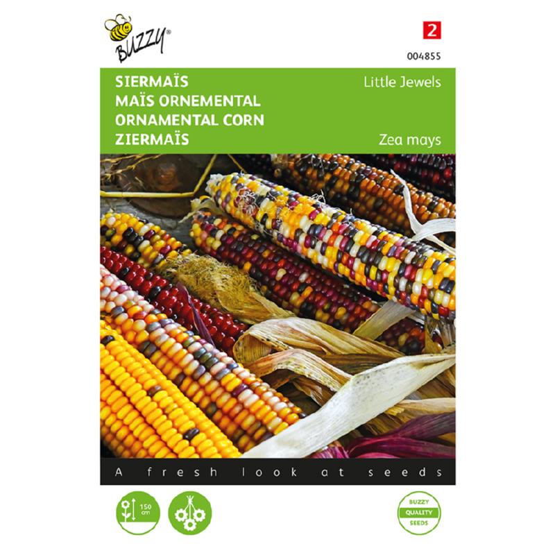 Buzzy® Zea Mays, Ornamental Maize Little Jewels mixed